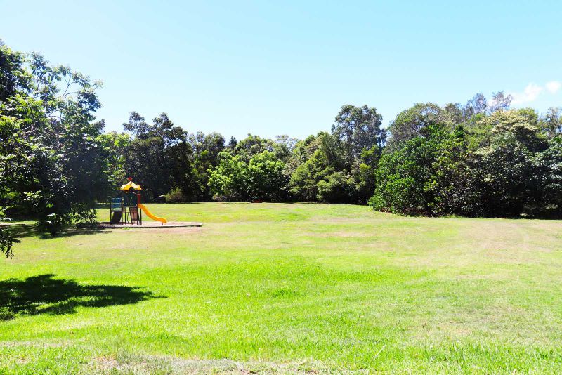 Riverwood Drive Reserve Lush Green Grass and Majestic Trees