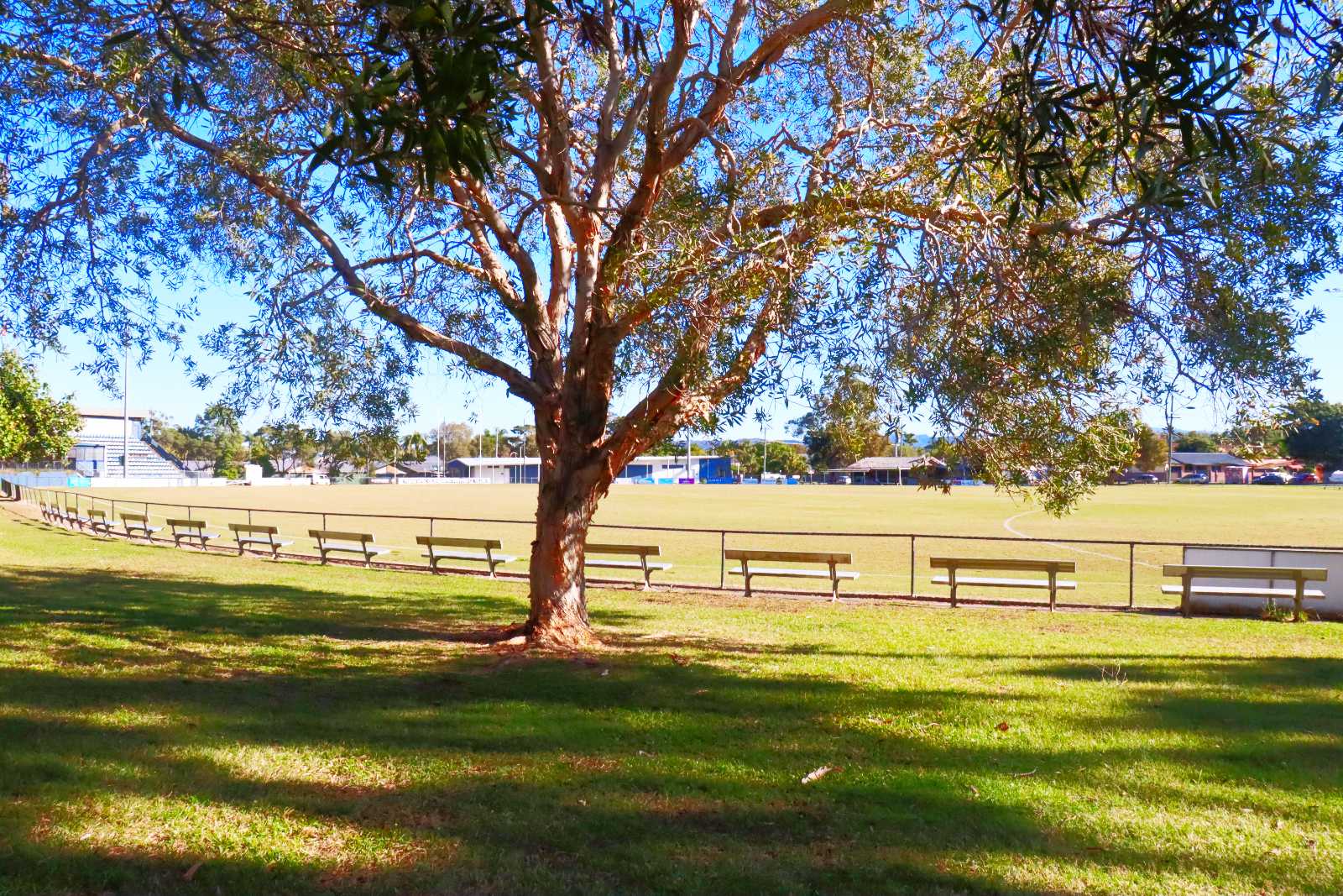 Len Peak Park A Simple Sports Space in Coolongatta