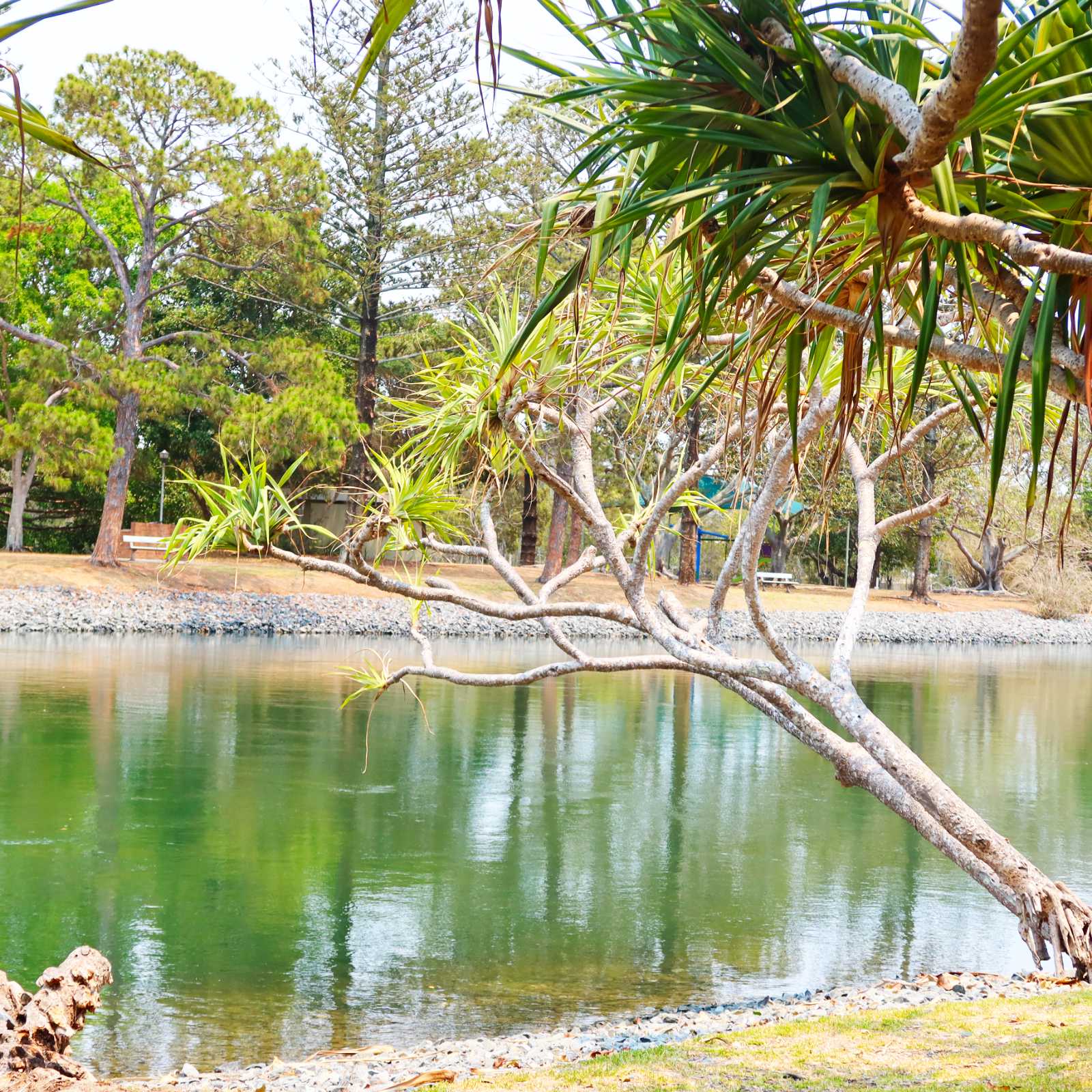 Cascade Gardens at Broadbeach