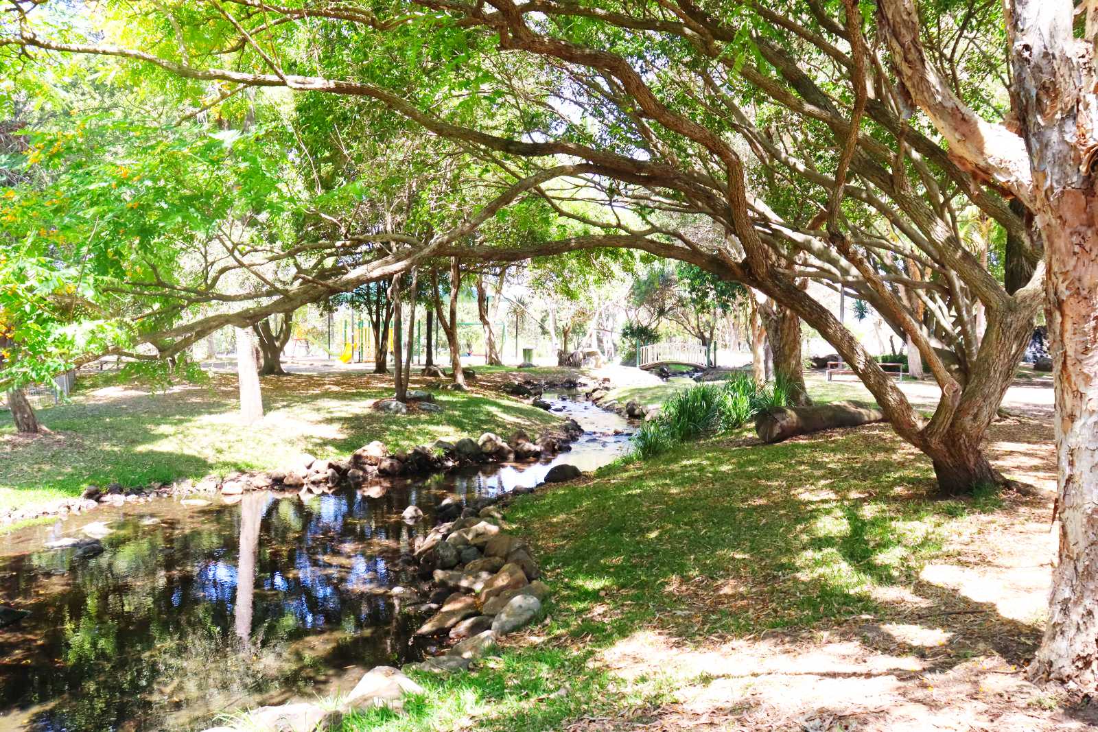 Macintosh Island Park at Surfers Paradise